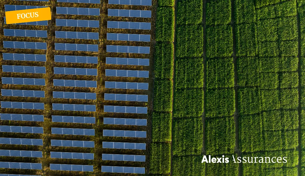 Agrivoltaïsme : comment sécuriser votre projet de A à Z ?