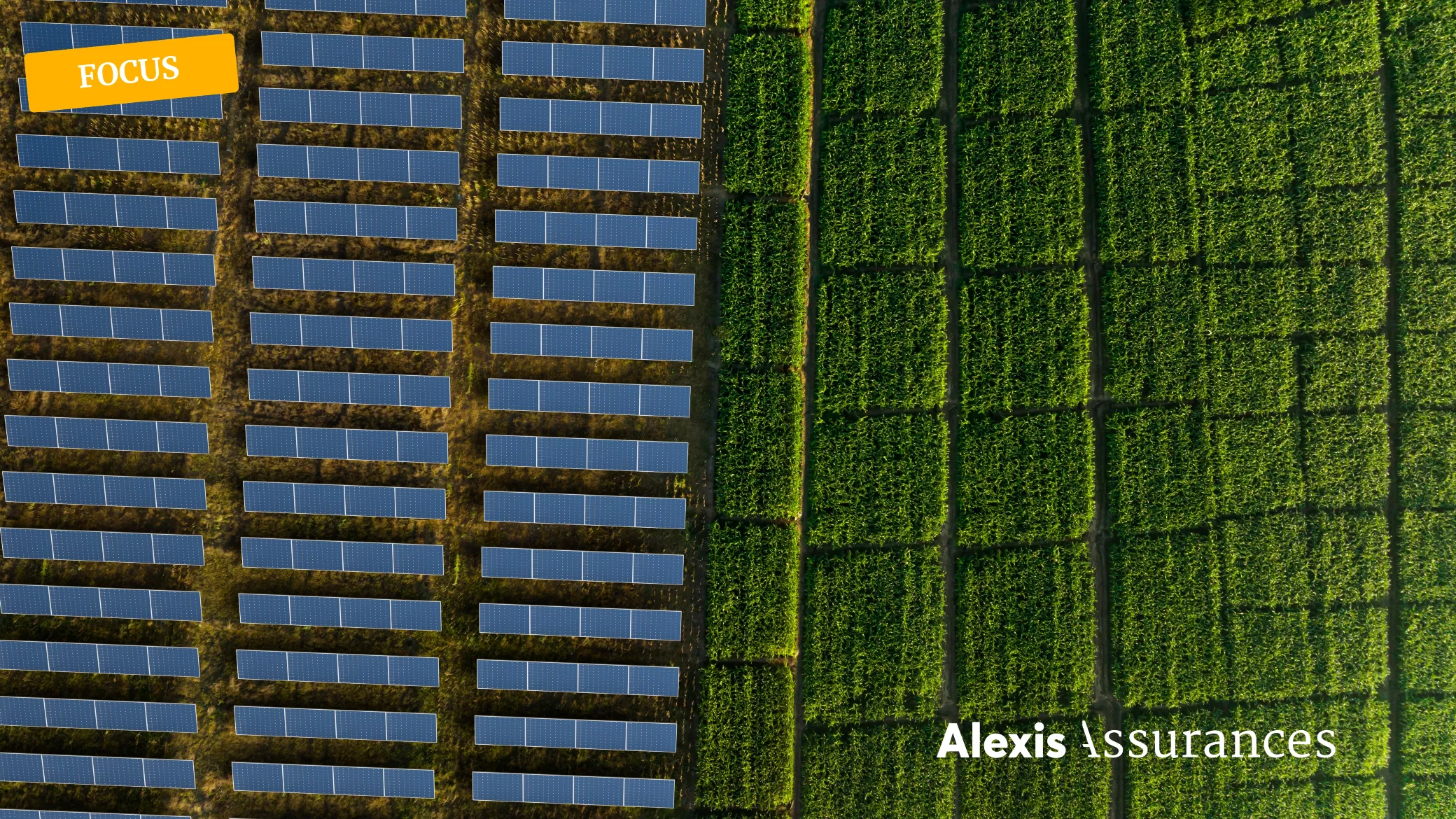 Agrivoltaïsme : comment sécuriser votre projet de A à Z ?